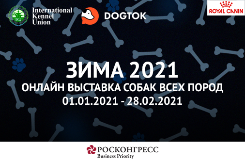 Итоги онлайн-выставки собак «Зима 2021»: успех нового формата зоотехнических мероприятий