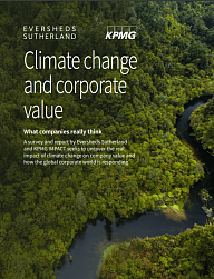Изменение климата и корпоративные ценности: что на самом деле думают компании