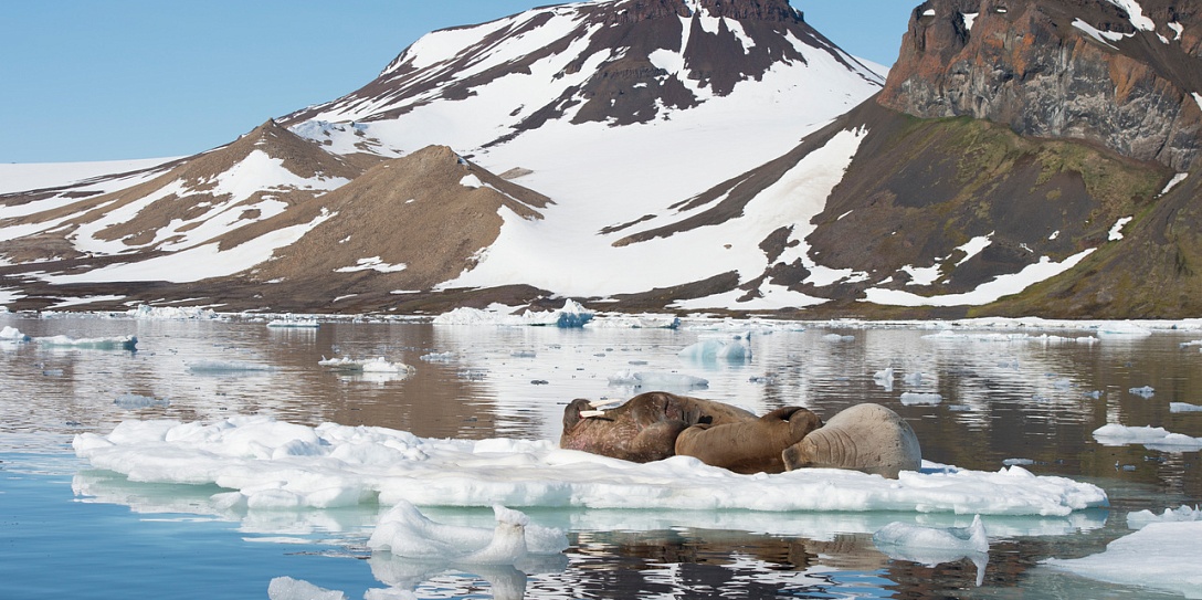 Конференция по адаптации к изменению климата в Арктике  состоится 7-8 июля в Санкт-Петербурге