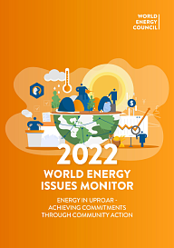Мониторинг проблем мировой энергетики – 2022. Неразбериха в энергетике: выполнение обязательств посредством совместных действий