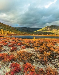 Кладовая ресурсов ДВФО