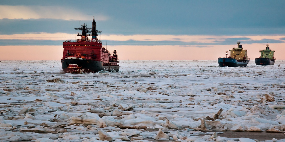 Перспективы российско-китайского сотрудничества обсудили в рамках проекта Think Arctic