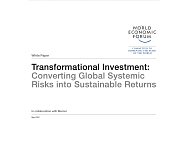 Трансформационные инвестиции: преобразование глобальных системных рисков в устойчивую доходность
