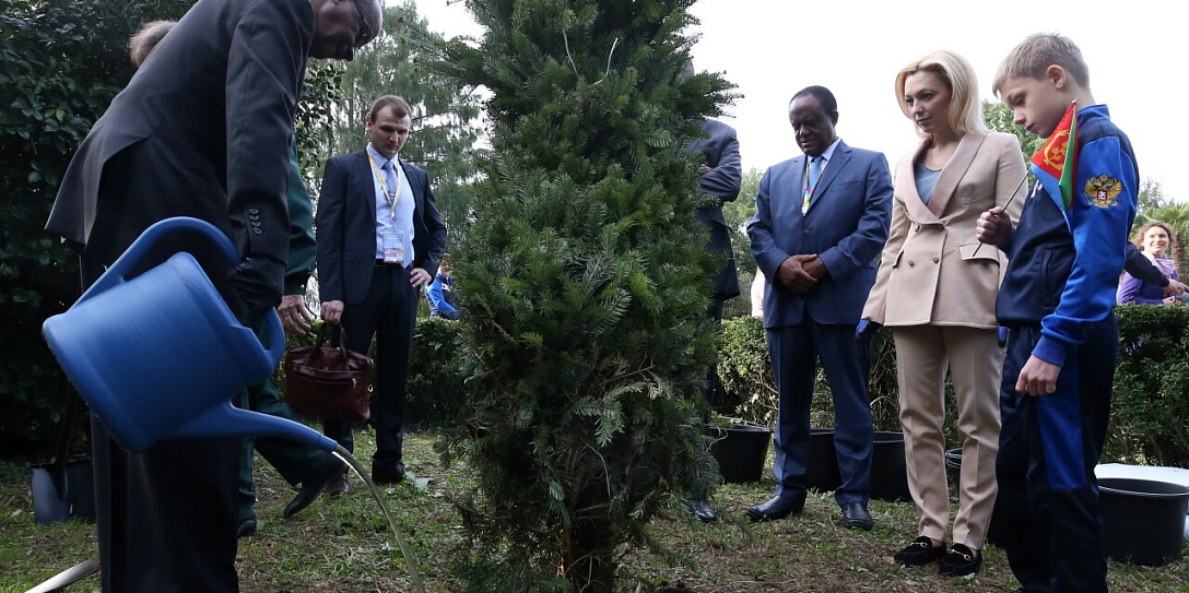 Дмитрий Кобылкин и лидеры делегаций – участниц Саммита Россия – Африка посадили в Сочи деревья, перешагнув 30-миллионный рубеж саженцев акции «Сохраним лес»