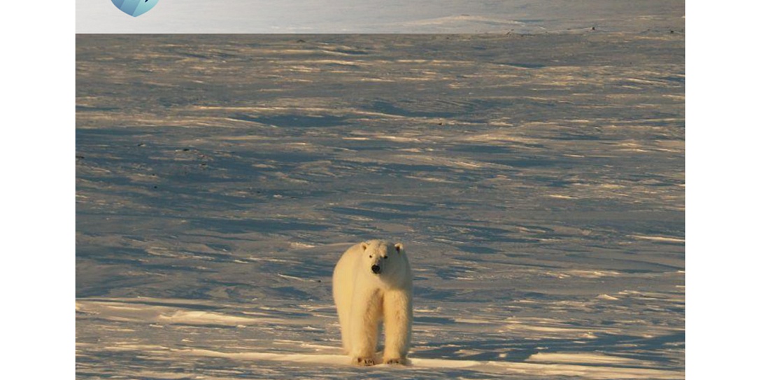 Фонд Росконгресс и национальный парк «Русская Арктика» запускают совместный проект