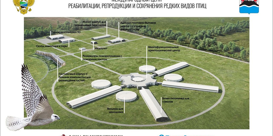 Одобрена заявка Соколиного центра на получение статуса резидента ТОР «Камчатка»