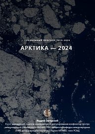 ГЛОБАЛЬНЫЙ ПРОГНОЗ РСМД 2019 — 2024. АРКТИКА — 2024